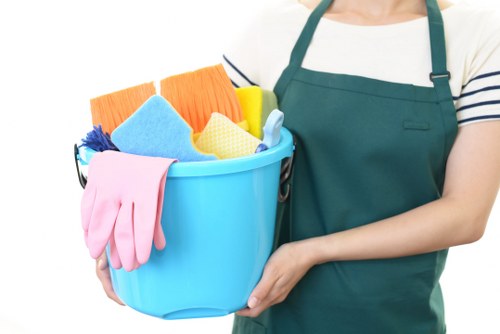 Professional carpet cleaning service in Hcone London