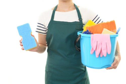 Professional window cleaning service in Hcone London