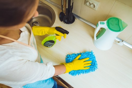 Professional cleaner tidying a modern living room in Hcone London