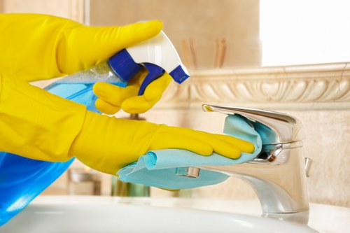 Professional vacuuming carpets in Hcone London home