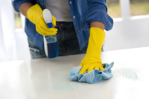 Tools used for gutter cleaning