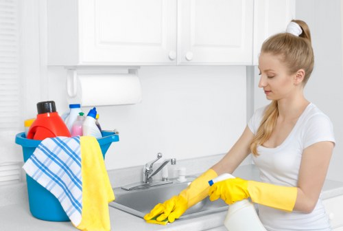 Residential and commercial window cleaning services